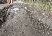 19.74 करोड़ की लागत से बनेगी चौकियां आरा की सड़क, टेन्डर की प्रक्रिया शुरू