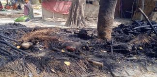 Fire broke out in Mandai due to unknown reasons, four cattle lost their lives