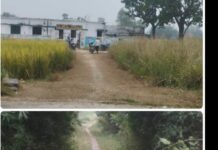 कम्पोजिट प्राथमिक विद्यालय गंगेव शिक्षा क्षेत्र जयसिंह पुर, बच्चों के आवागमन हेतु नहीं है अच्छा रास्ता