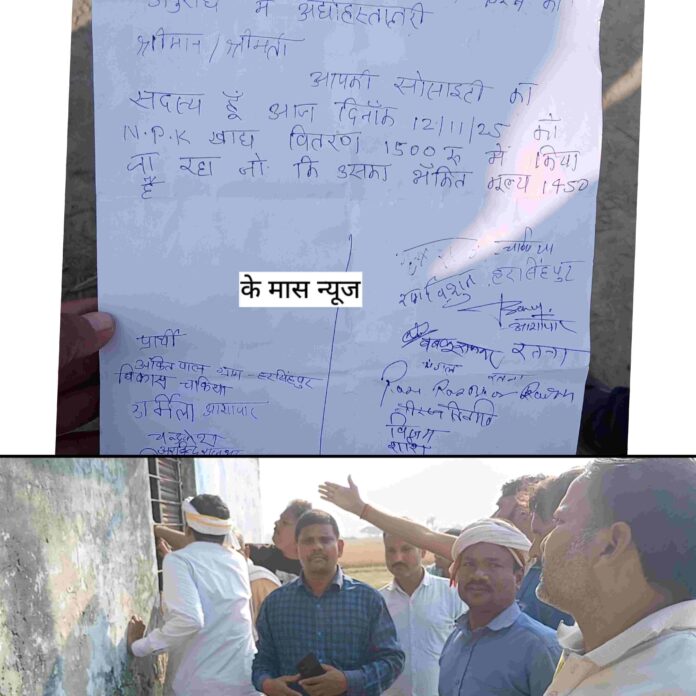 GridArt_20251116_175151643 (1)