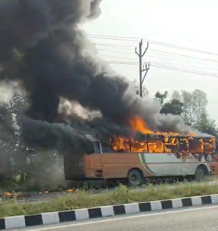 Screenshot_20251104_154143_Video Player