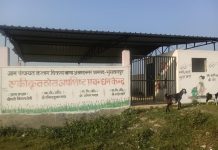 कुडादान बना शराबियो का अड्डा एवं चरागाह ,जिम्मेदार है बेखबर