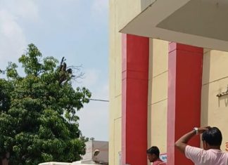 सड़क दुर्घटना में बाइक सवार युवक की मौत साथी की हालत गंभीर