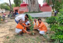 पौधारोपण कर मनाया मंत्री नंदी का पुनर्प्राप्ति जन्मदिन