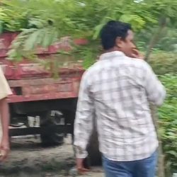 पंचायतों, विद्यालयों और सरकारी कार्यालयों में होगा वृक्षारोपण अभियान