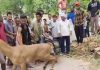 कुएं में गिरी दो नीलगाय, पुलिस और फायर ब्रिगेड ने सुरक्षित निकाला