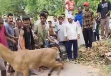 कुएं में गिरी दो नीलगाय, पुलिस और फायर ब्रिगेड ने सुरक्षित निकाला