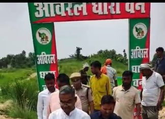 जिला पंचायत सदस्य व वन क्षेत्राधिकारी के द्वारा रोपे गए पौधे