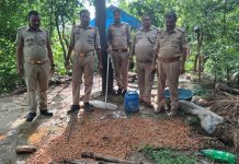 आबकारी आयुक्त परिवर्तन के अंतर्गत चलाए गए अभियान में 55 लीटरकच्चीअवैध शराब व 400किलो लहान को किया नष्ट