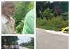 चार पहिए वाहन ने वृद्ध को मारी टक्कर हाथ टूटा