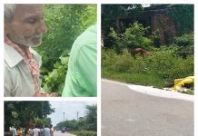 चार पहिए वाहन ने वृद्ध को मारी टक्कर हाथ टूटा