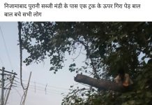 निजामाबाद पुरानी सब्जी मंडी में डीसीएम पर गिरा पेड़ लोग बाल बाल बचे