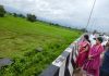 बारिश से प्रभावित फसलों का डीएम-एसपी ने लिया जायजा,भारी बारिश व तूफान से अंबेडकर नगर प्रशासन हाई अलर्ट