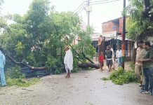 चौकी प्रभारी की सक्रियता से हादसा टला ,सड़क पर गिर रहे पेड़ को कटवाया