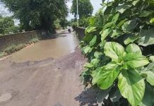 सूरापुर शारदा नहर के उपर सड़क बनी तालाब