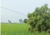 सोमवार शाम के कुदरती कहर का तांडव: तूफान से जनजीवन अस्त-व्यस्त, युद्धस्तर पर बहाली जारी