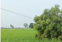 सोमवार शाम के कुदरती कहर का तांडव: तूफान से जनजीवन अस्त-व्यस्त, युद्धस्तर पर बहाली जारी